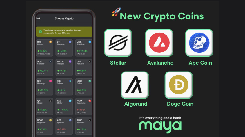 Maya June Updates Crypto
